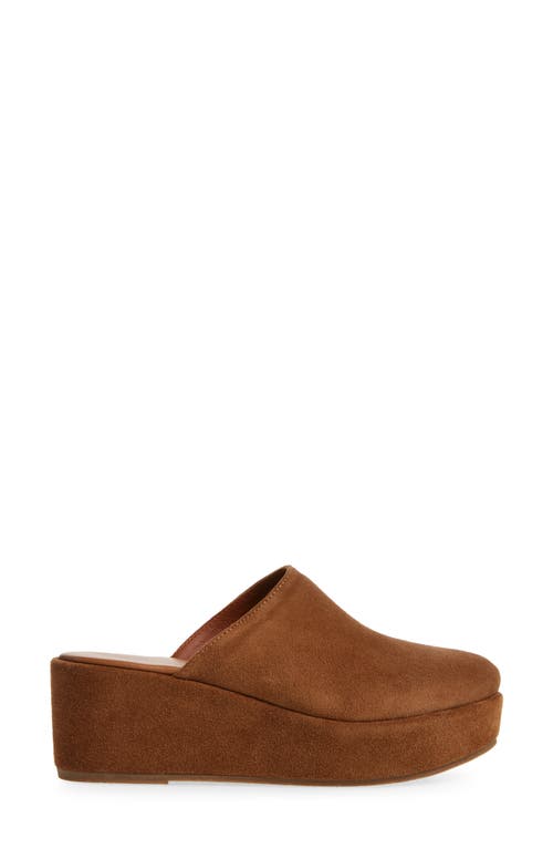 Cordani Camryn Platform Wedge Mule In Clove Suede