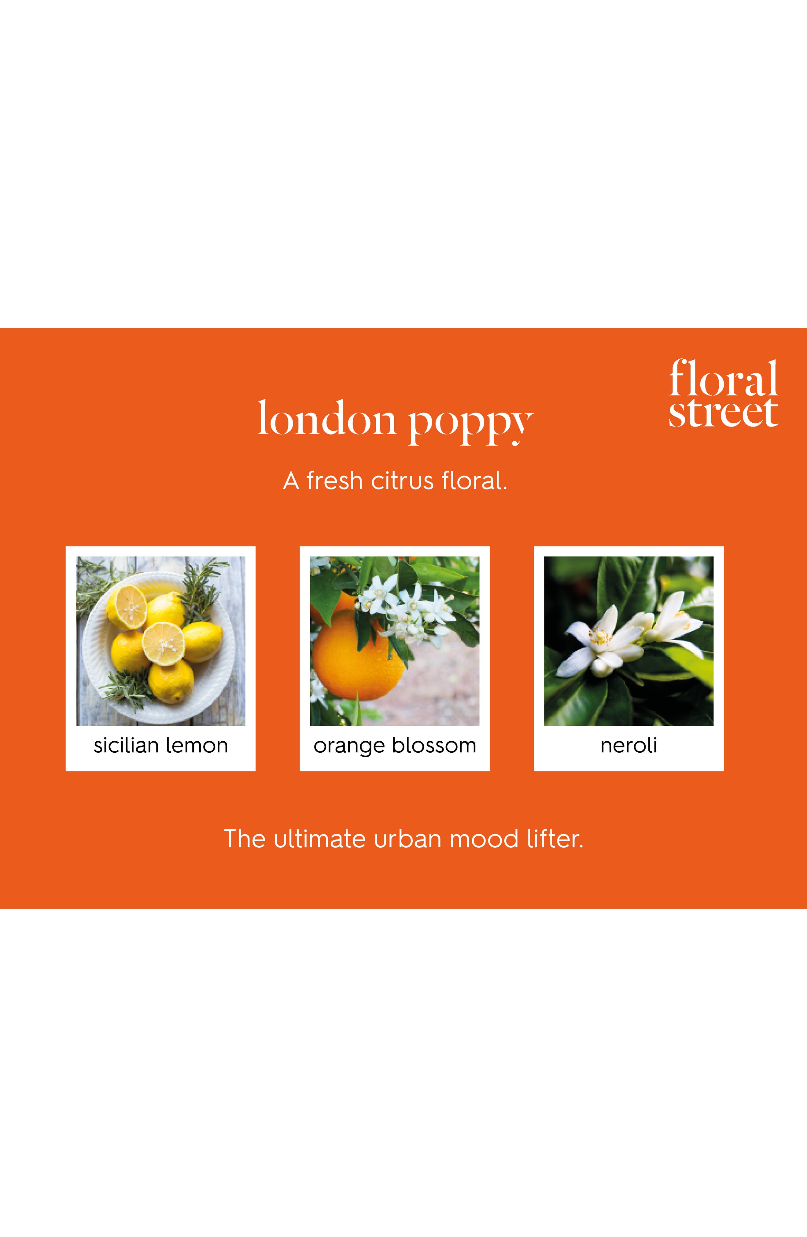 floral street london poppy perfume