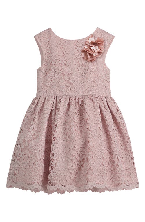 Pippa & Julie Sleeveless Lace Party Dress in Mauve