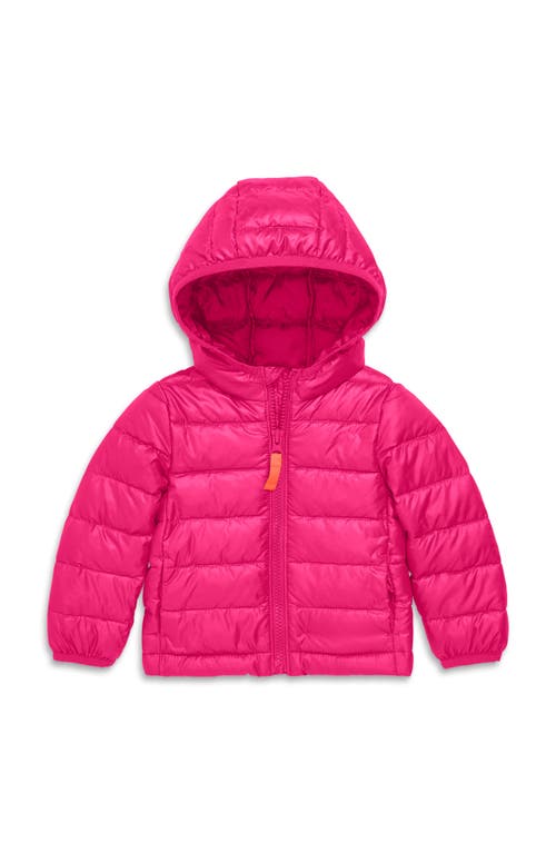 Shop Primary Baby Lightweight Puffer Jacket In Fuchsia