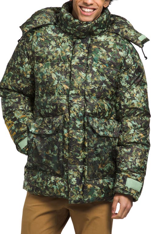 '73 The North Face 600 Fill Power Down Parka Misty Sage Fallen Leaves Print at Nordstrom,