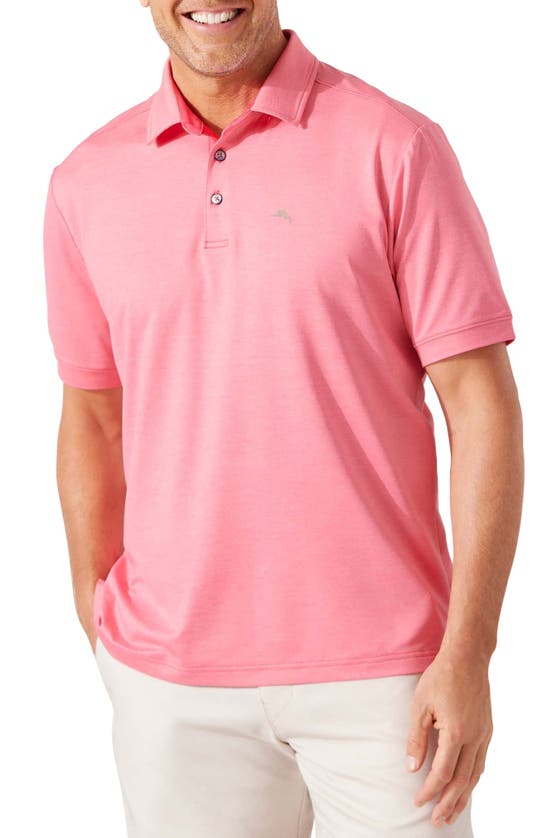 Tommy Bahama San Raphael Islandzone® Performance Polo In Dahlia Pink