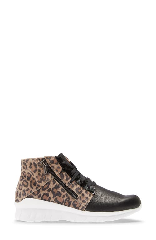 Naot Polaris High Top Sneaker In Soft Black/cheetah Print
