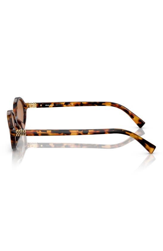 Shop Miu Miu 50mm Oval Sunglasses In Brown
