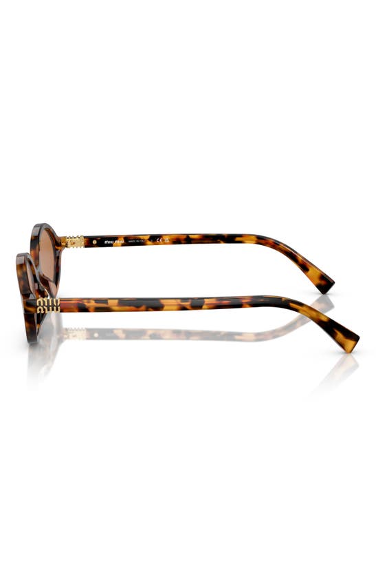 Miu Miu 50mm Oval Sunglasses In Brown