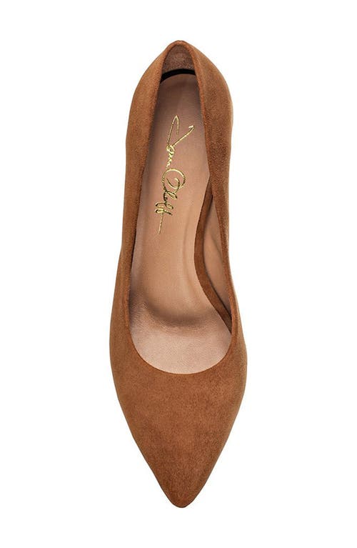 Joan Oloff Deborah Pointed Toe Pump In Autumn Suede