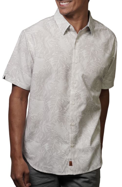 Eco Jungle Short Sleeve Button-Up Shirt in Birch
