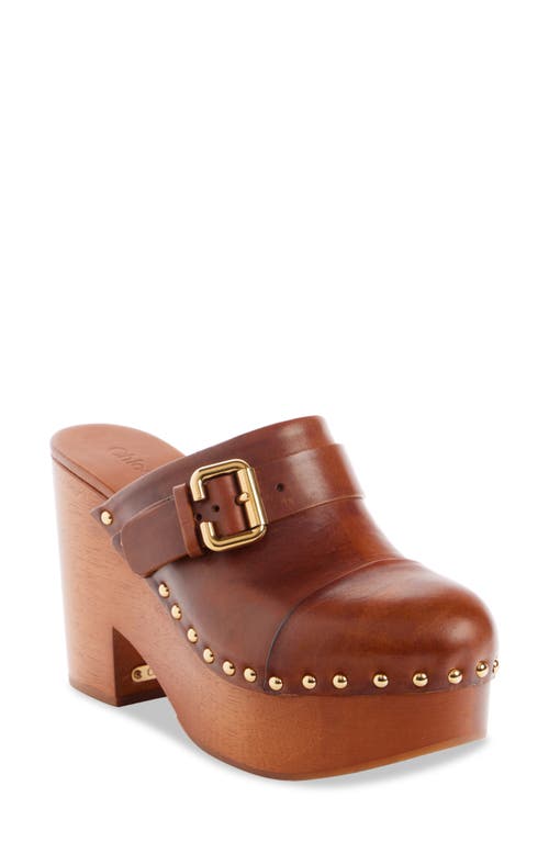 Shop Chloé Jeanette Platform Clog In Ginger Brown