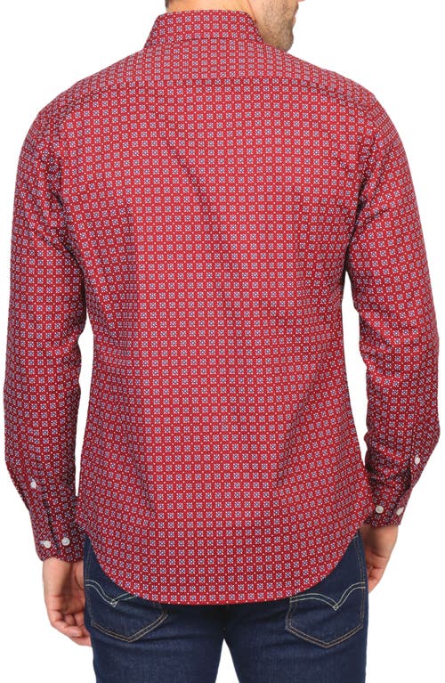 Tailorbyrd Geo Print Stretch Button-down Shirt In Burgundy