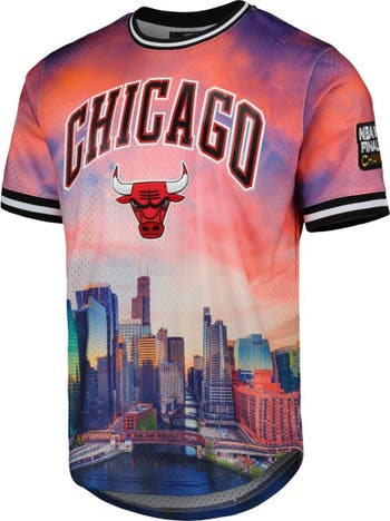 Men's Pro Standard Chicago Bulls Cityscape Stacked Logo T-Shirt Size: Medium