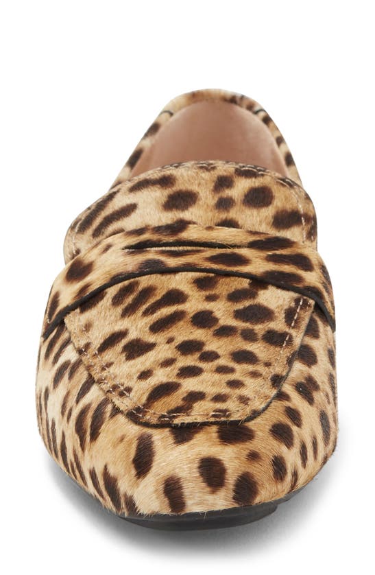 Shop Stuart Weitzman Jet Penny Loafer In Cream Cheetah Calf Hair