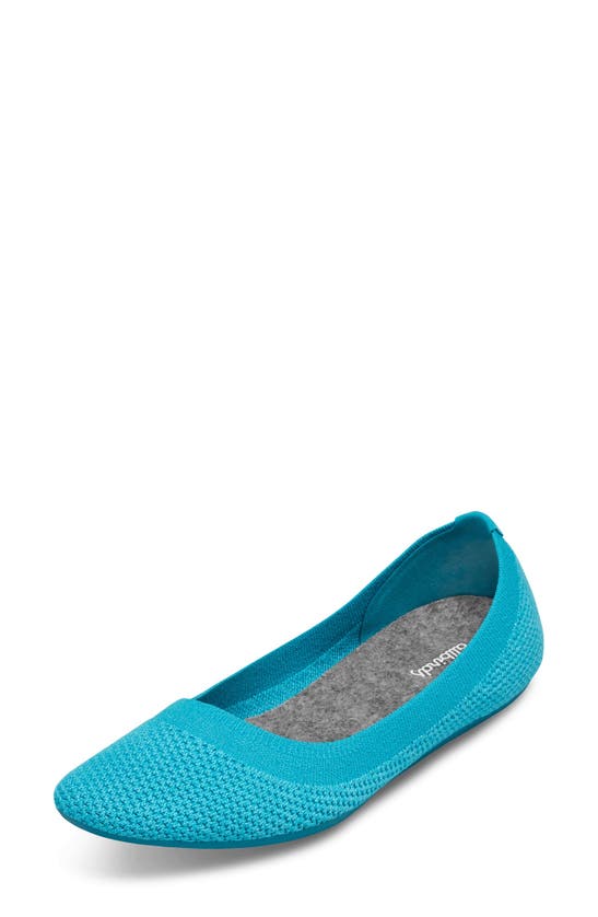 Shop Allbirds Tree Breezer Ballet Flat In Caribbean