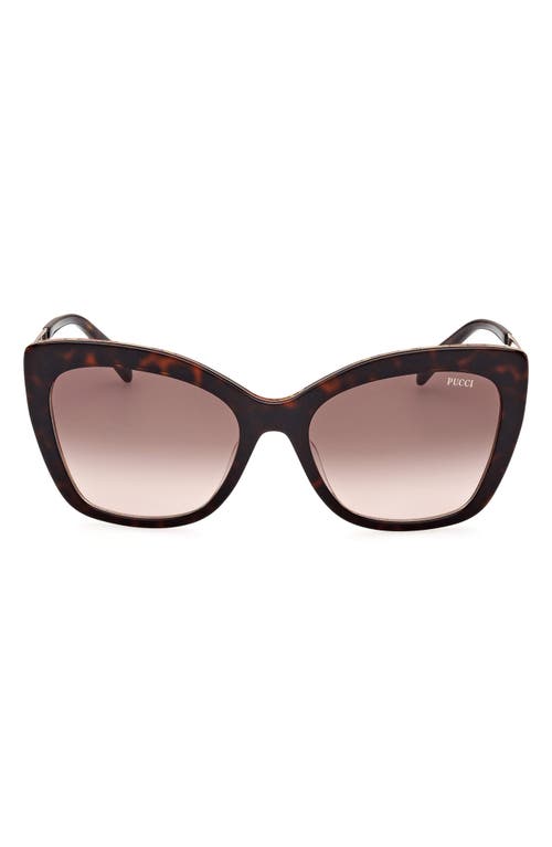Emilio Pucci 58mm Square Sunglasses in Dark Havana /Gradient Brown