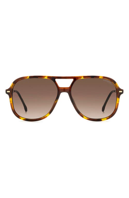 Carrera Eyewear 58mm Navigator Sunglasses In Gold