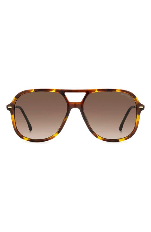 Carrera Eyewear 58mm Navigator Sunglasses In Havana 2/brown Gradient