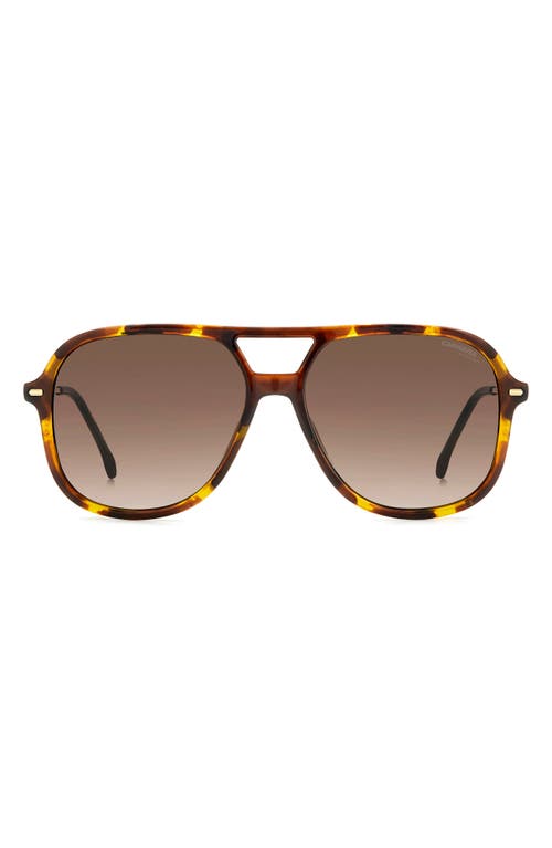 58mm Navigator Sunglasses in Havana 2/Brown Gradient