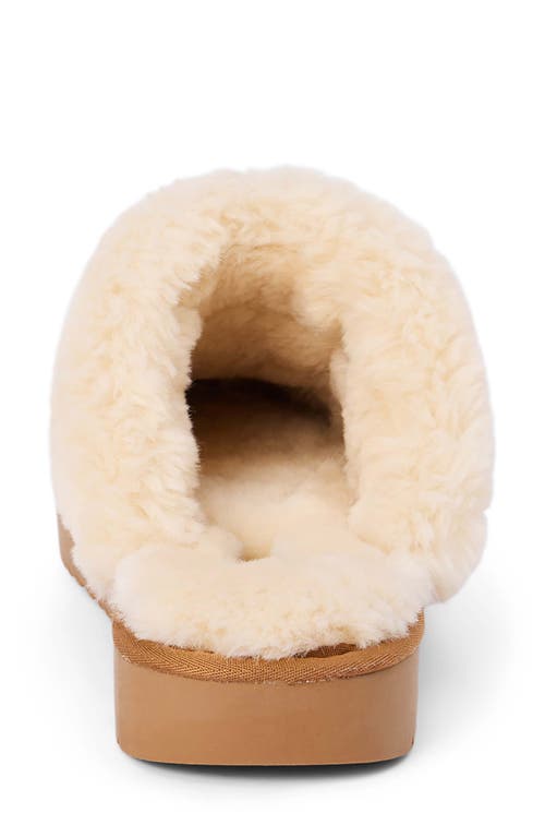 Shop Coconuts By Matisse Taos Faux Fur Slipper In Chestnut