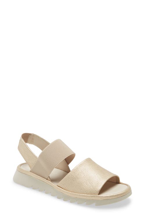 The FLEXX Banzai Sandal in Gold Curtis Leather at Nordstrom, Size 6.5