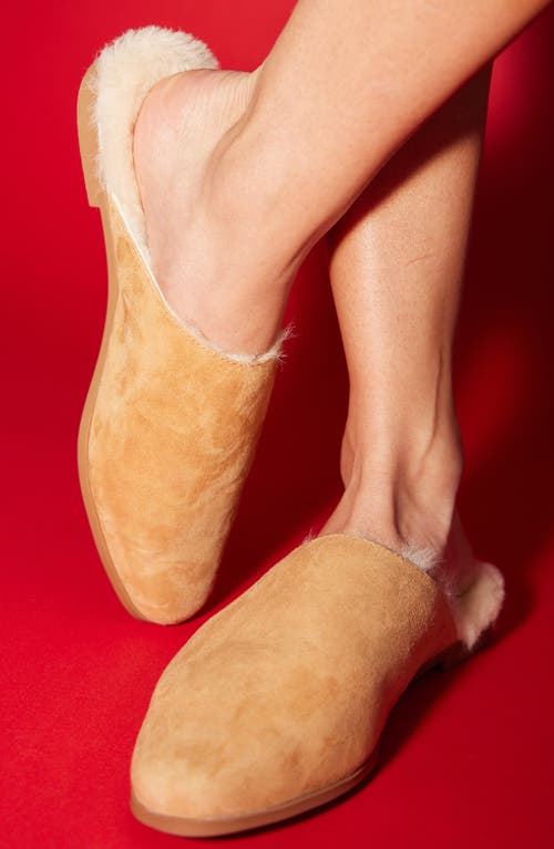 Yosi Samra Zoe Genuine Shearling Lined Mule In Whiskey