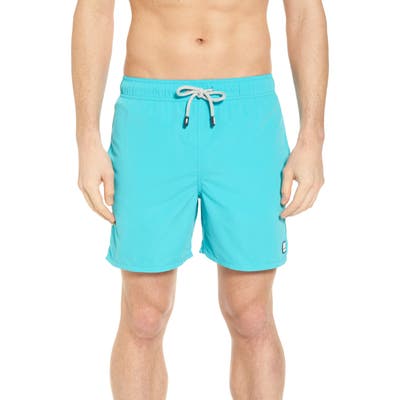 Tom & Teddy Solid Swim Trunks, Blue