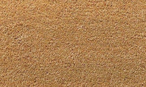 Entryways Border Stripe Coir Doormat In Natural Coir/black