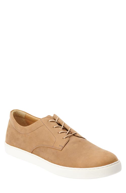 Diego Everyday Sneaker in Tobacco
