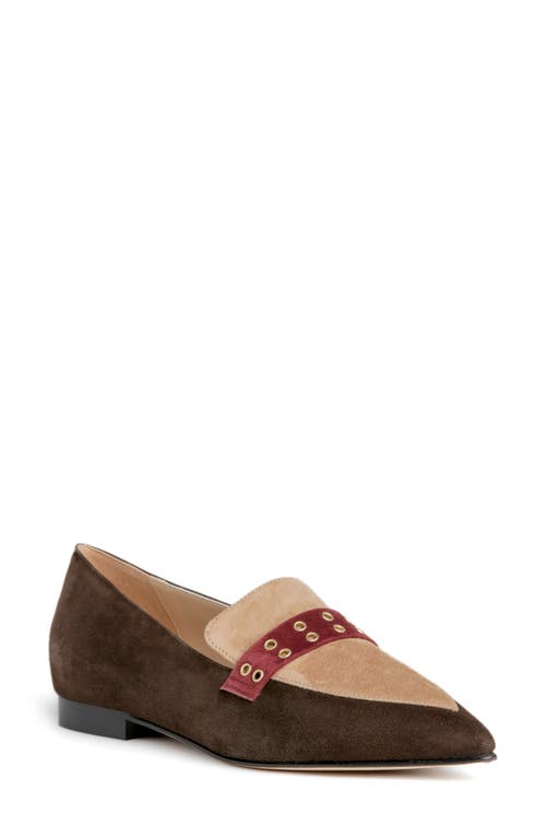 BEAUTIISOLES Cecily Pointed Toe Loafer in Brown 