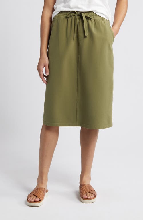 caslon(r) Stretch Organic Cotton Skirt in Olive Burnt