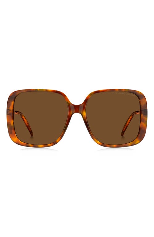 Marc Jacobs 57mm Square Sunglasses in Havana Beige /Brown at Nordstrom