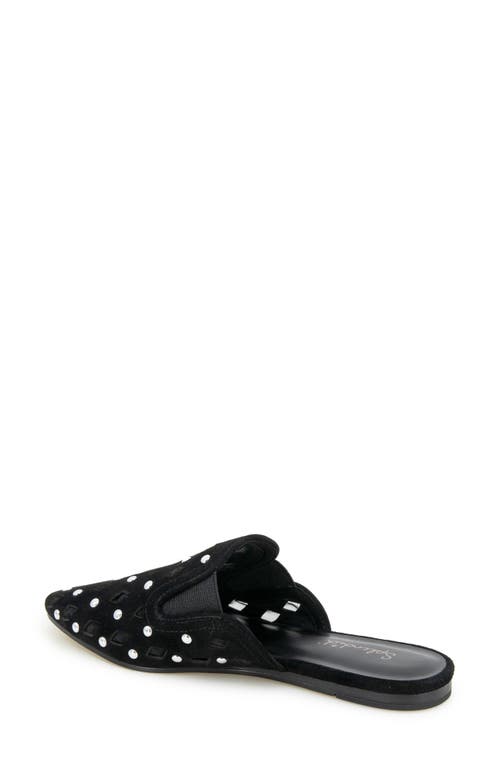 SPLENDID SPLENDID LINNA POINTED TOE MULE 