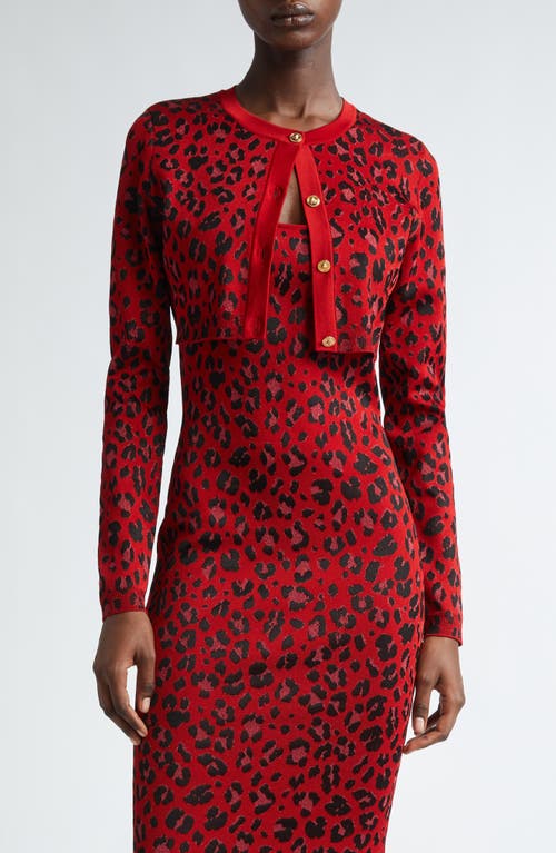 Shop Versace Animalier Leopard Jacquard Crop Cardigan In Lipstick Red