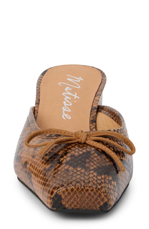 Matisse Basilio Heeled Mule In Brown Snake In Brown