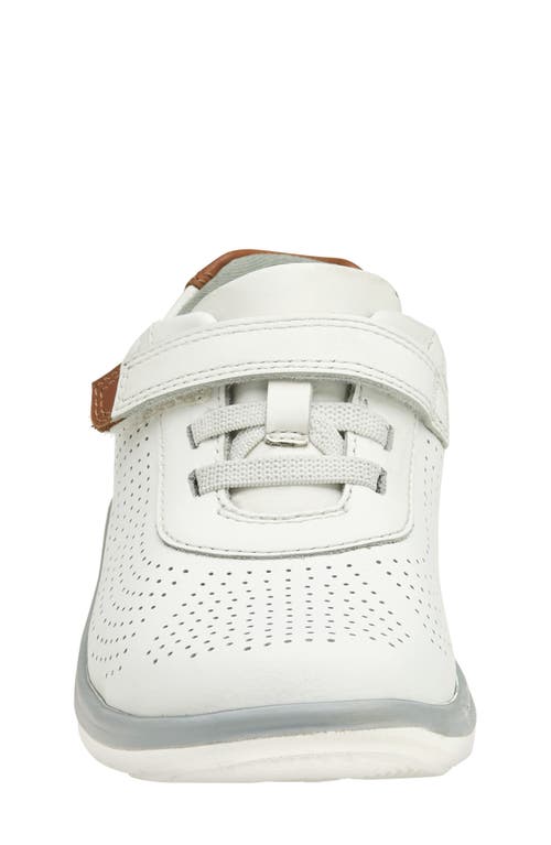 Shop Johnston & Murphy Kid's Activate U-throat Hook & Loop Sneaker In White Full Grain