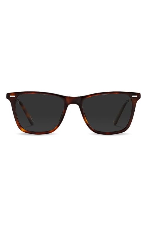 Atwater 51mm Polarized Rectangle Sunglasses in Rye Totroise Smoke