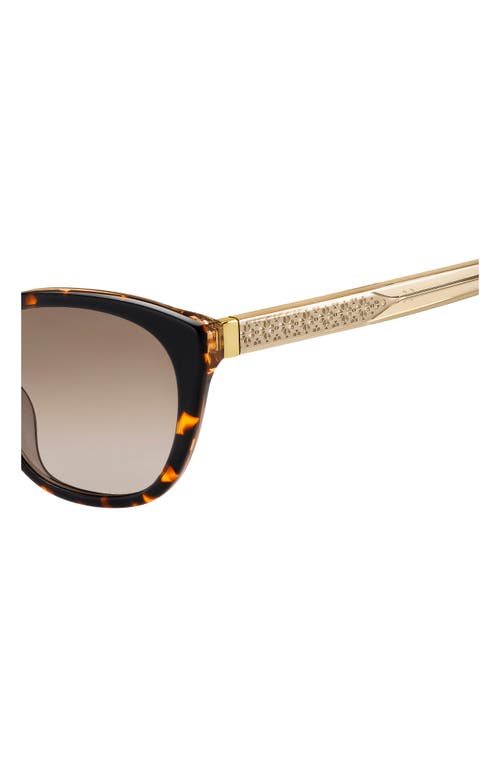 Kate Spade New York Phillipa 54mm Gradient Cat Eye Sunglasses In Havana/beige/brown