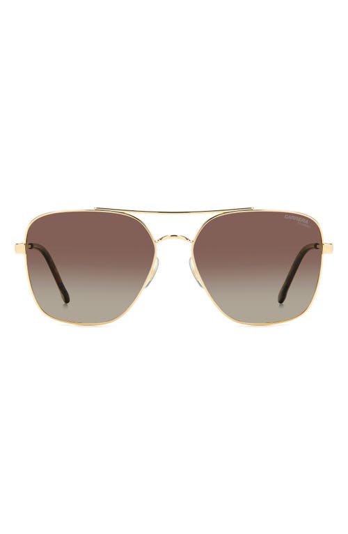 60mm Gradient Square Sunglasses in Gold Havana/Brown Polar