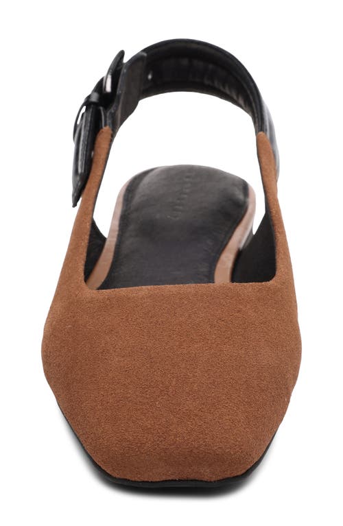 Sanctuary Kitchy Slingback Flat In Bourbon/black