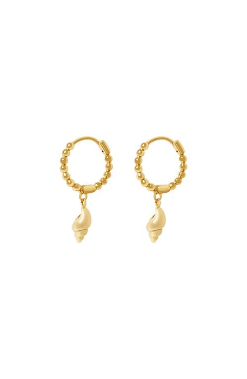Argento Vivo Sterling Silver Shell Drop Huggie Hoop Earrings in Gold