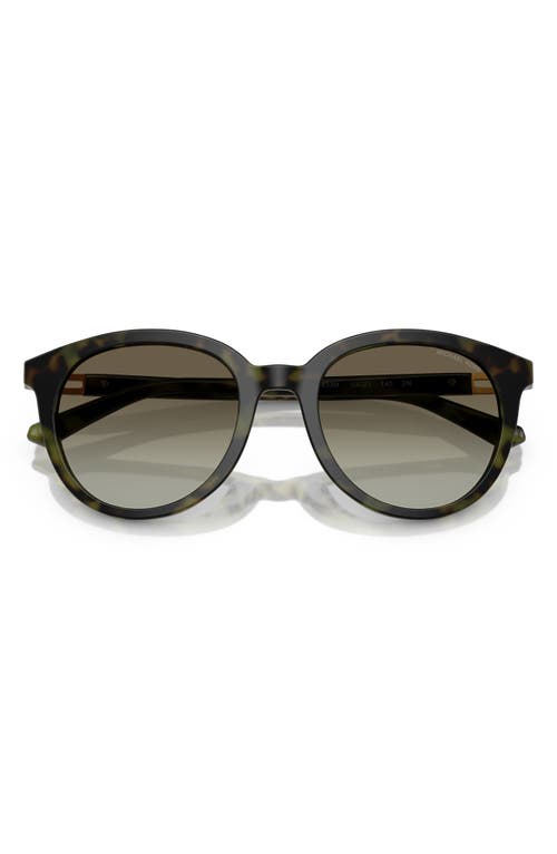 Michael Kors 53mm Round Sunglasses In Jerry Tort