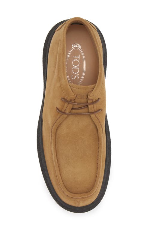 Shop Tod's Suede Chukka Boot In Bronzo Medio