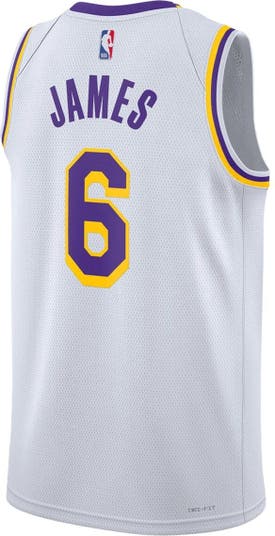  Nike Los Angeles Lakers City Edition NBA Lebron James Swingman  Jersey : Sports & Outdoors