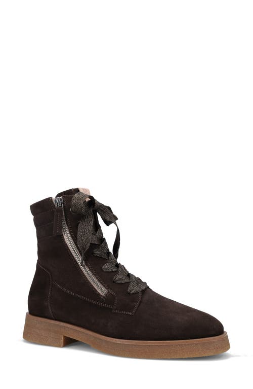 Shop Ron White Hayley Lace-up Boot In Chocolate