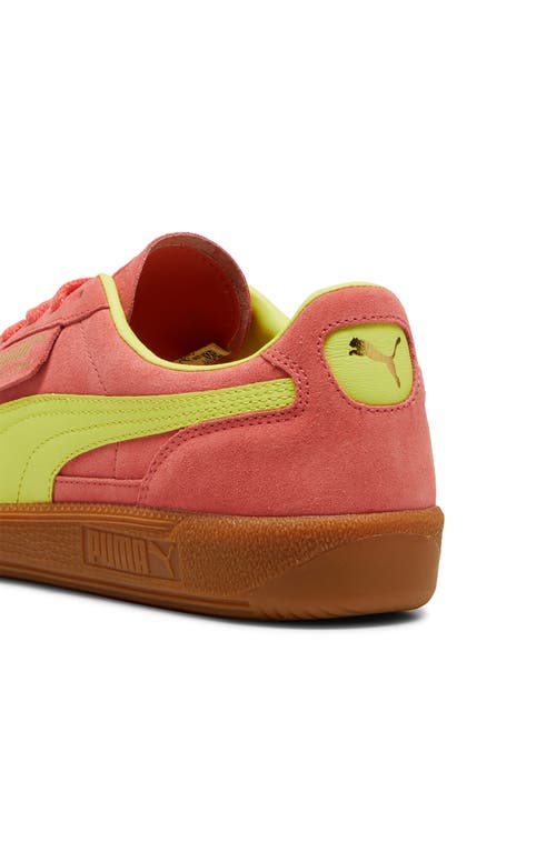 Puma Palermo Leather Sneaker In Salmon-lime Sheen-gum