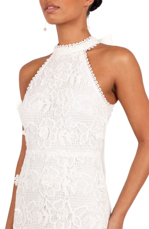 Petal And Pup Petal & Pup Adaln Halter Lace Midi Dress In White