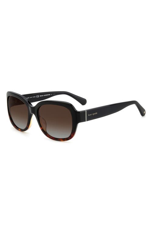Kate Spade New York Laynes 55mm Gradient Sunglasses In Black Havana/brown Polar
