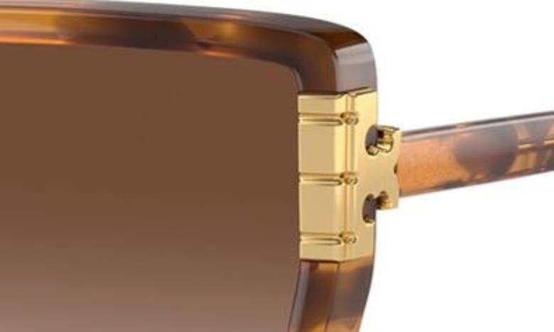 Shop Tory Burch 58mm Eleanor Square Sunglasses In Tortoise