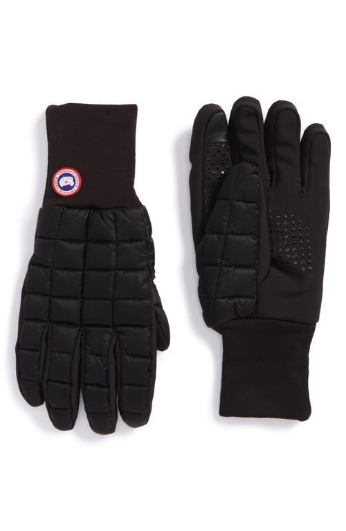 Northern Liner Gloves in Black