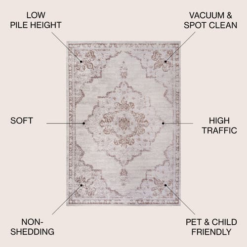 Jonathan Y Alhambra Ornate Medallion Modern Area Rug In Cream/red