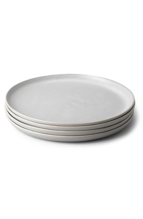 Fable The Set of 4 Salad Plates in Stone Blue 