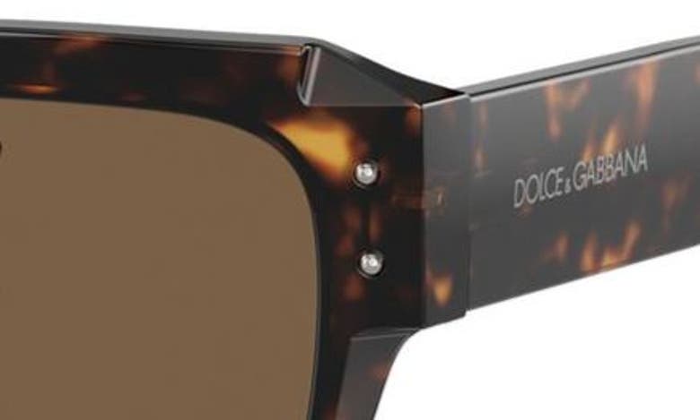 Shop Dolce & Gabbana 56mm Rectangular Sunglasses In Havana